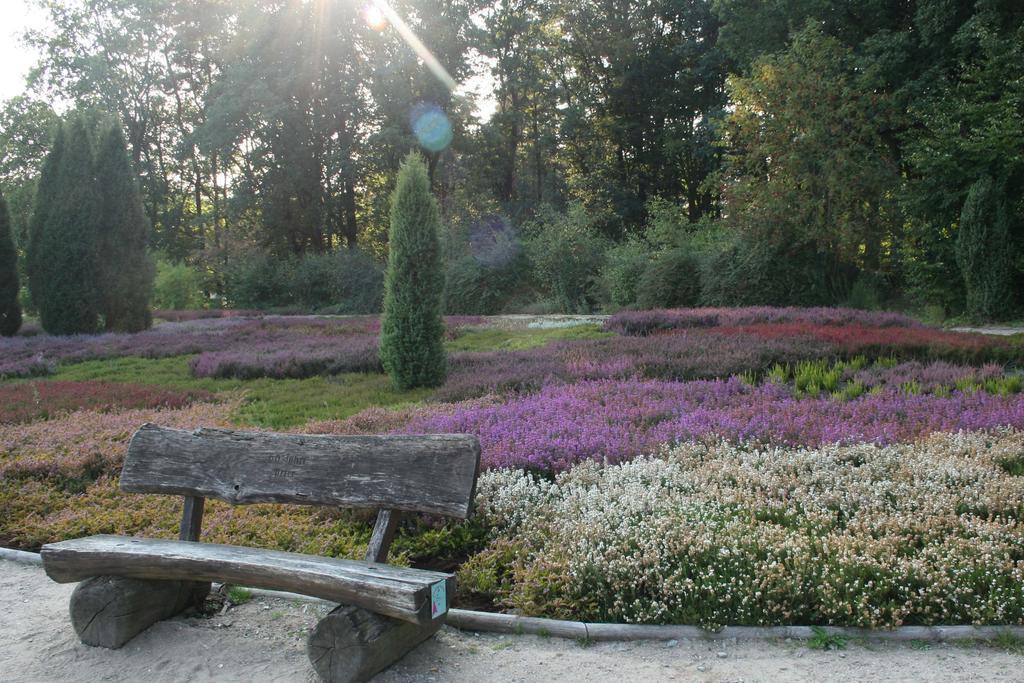 Ferienwohnung Lueneburger Heide Шнефердінген Екстер'єр фото