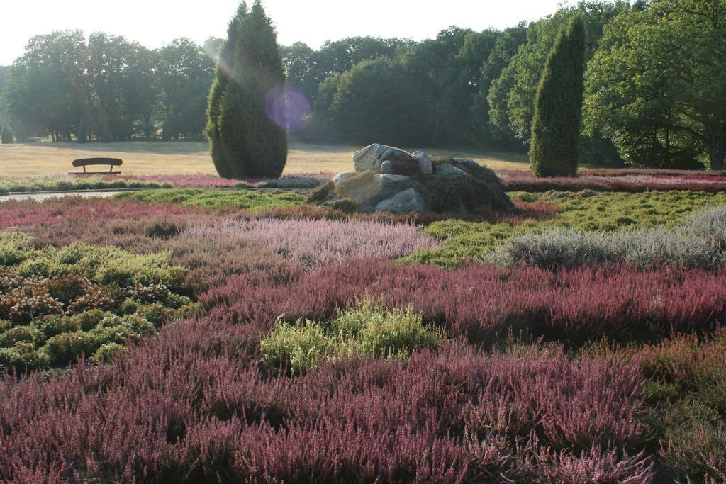 Ferienwohnung Lueneburger Heide Шнефердінген Екстер'єр фото