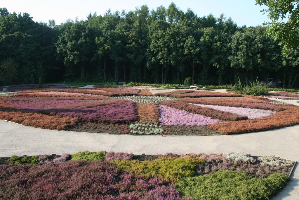 Ferienwohnung Lueneburger Heide Шнефердінген Екстер'єр фото